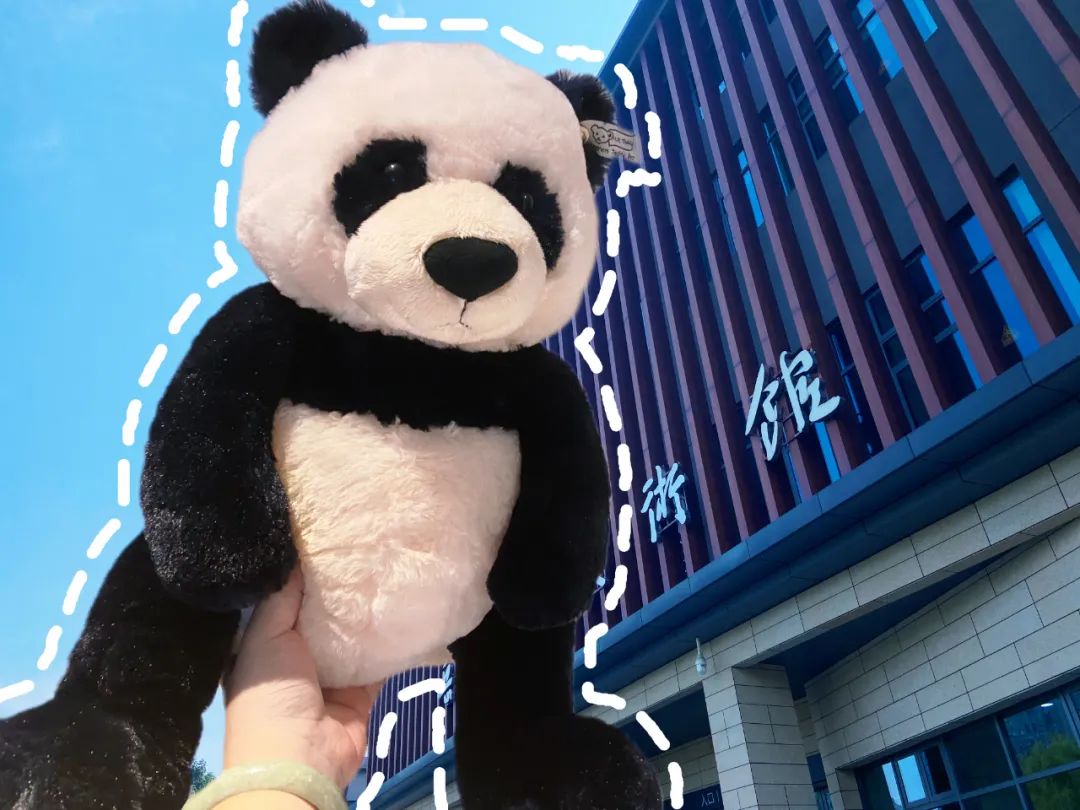 征文选登35 | 父亲与大熊猫